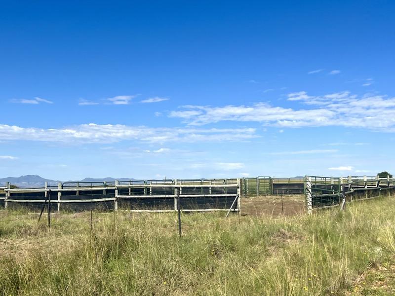 0 Bedroom Property for Sale in Fouriesburg Free State